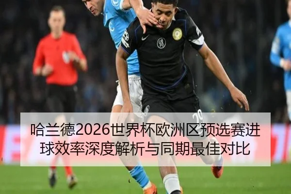 哈兰德2026世界杯欧洲区预选赛进球效率深度解析与同期最佳对比 - huayuyule